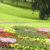 Flower Bed Billboard